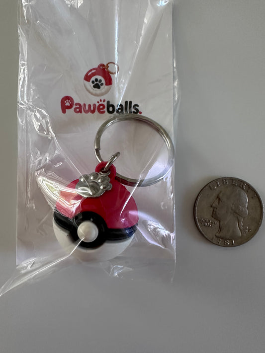 Pet Pokémon collar charm